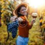 Navigating wine regions: what to expect from a good store